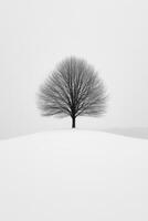 Single Tree Silhouette Snowy Hillside Calm photo