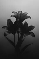 Monochrome Lily Flower Arrangement Still Life photo