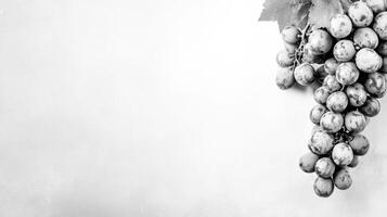 Black and white grapes on a light textured background photo