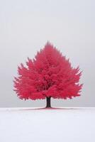 Red maple tree in snow, winter nature landscape photo