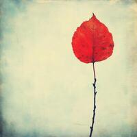 Single red leaf on twig, vintage paper texture photo