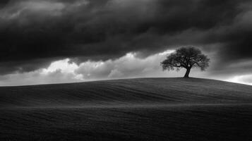 Single Tree Silhouette, Dark Clouds photo