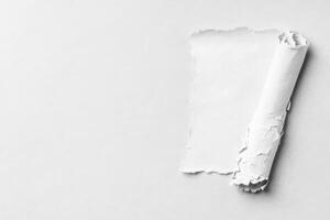 Rolled Paper with Torn Edges on Light Textured Surface photo