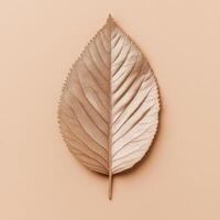 Elegant Leaf Displays Intricate Vein Patterns photo