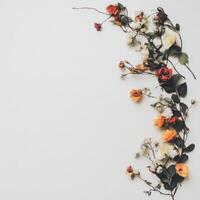 Elegant Floral Border with Orange Red and White Roses on White photo