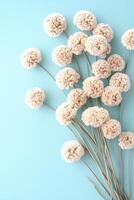 Delicate Beige Pompom Flowers Arrangement on Turquoise Surface photo