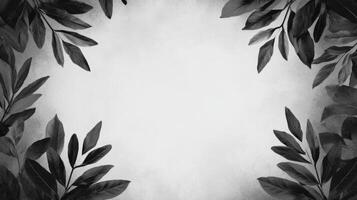 Black and White Leaf Frame Border on Neutral Surface photo