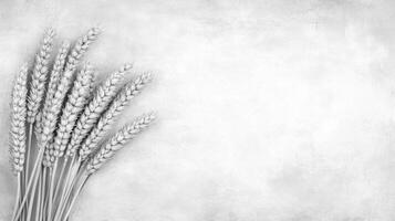 Monochrome Wheat Stalks Border Frame on Textured Background photo