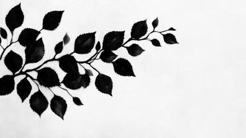 Minimalist Black Leaves Branch Corner on White Background photo