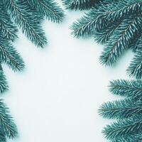 Frosted Pine Branches Corner Frame on Light Pale Background photo