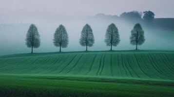 Serene Green Fields and Trees in Misty Landscape photo