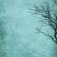 Solitary Tree Reaching Into a Serene Teal Expanse photo