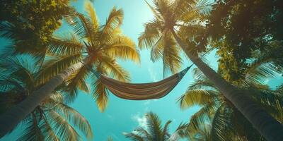 A serene view of a hammock swaying between tall palm trees under a vibrant blue sky. photo