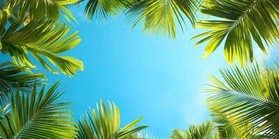 A vibrant, sunny view of palm leaves against a clear blue sky, creating a refreshing tropical atmosphere. photo