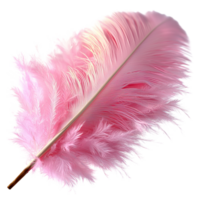 Soft Pink Feather Floating Gracefully Fine Details a Gentle Curve png