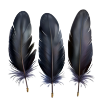 Collection of rk Iridescent Feathers Displaying a Sleek Elegant Sheen png