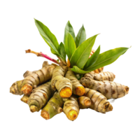 Fresh Turmeric Roots with Lush Green Leaves, a Vibrant and Aromatic Spice png
