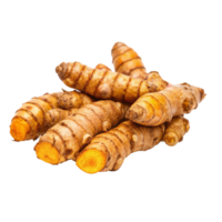 Fresh Organic Turmeric Roots Ready for Cooking and Culinary Use png
