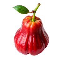uma solteiro, vibrante vermelho rosa maçã com verde haste e folha png