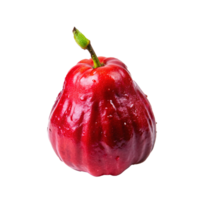 uma solteiro, maduro, vermelho rosa maçã com água gotas png