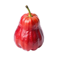 uma solteiro vibrante vermelho rosa maçã isolado em branco fundo png