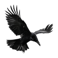 Majestic Black Crow in Flight Against a Gray Linear Background Artistic Rendering png