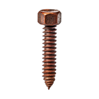 Closeup View of a Single Rusty Hexagon Head Screw Isolated on White Background png