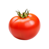A Single Ripe Red Tomato Isolated on White Background Fresh Garden Vegetable png