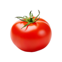 Single Ripe Red Tomato with Green Stem Isolated on White Background png