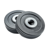 Closeup view of two black weight plates for barbells or dumbbells, showcasing their concentric circular design and central threaded hole for secure attachment to a barbell or dumbbell. png