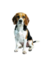 Adorable Beagle Puppy Sitting on Black Background Awaiting Commands png