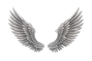 Pair of Elegant Silver Wings on Black Background, Detailed Feather Design, Symbolic of Freedom and Flight png