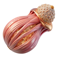 serene modern Skeletal Muscle Fiber Transparent Biology Resource authentic png