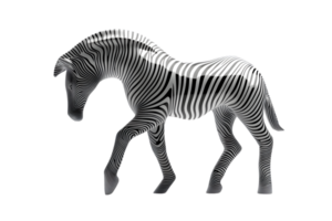 Stylish Zebra Silhouette with Striking Black and White Patterns Ideal for Design Projects Art png