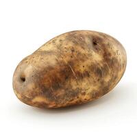 A close-up of a rustic, brown potato showcasing its earthy texture and shape. photo