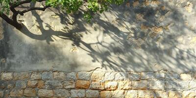A textured wall with shadows from a leafy tree branch, showcasing a beautiful interplay of light and natural patterns. photo