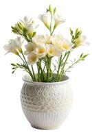 A delicate arrangement of white freesia in a textured ceramic vase, bringing a soft and elegant touch to any space. photo
