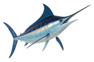 A 3D animated A unique overhead perspective of a marlin swimming straight toward the viewer, showcasing the streamlined shape of its dorsal fin, isolated on a transparent background png