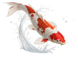 A koi fish leaping out of invisible water, its vibrant scales gleaming, tail curled elegantly, isolated on a transparent background png