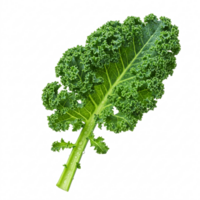 Fresh kale leaf on transparent background. Juicy sprout with dew drops. Ideal for culinary projects and healthy food advertising. For balanced diet and natural lifestyle. png