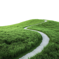 path on grass hill with path leading to the top png