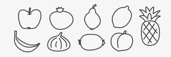Sketch of fruits. Collection with watermelon, apple, pear, lemon, banana, fig, kiwi. Organic peach and pineapple. isolated on white background vector