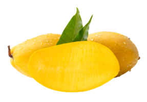 Two ripe yellow mangoes and half with green leaves and water droplets in stack isolated with clipping path in file format png