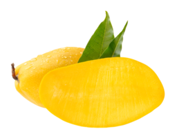 A horizon pile of ripe yellow mango and half with green leaves and water droplets isolated with clipping path in file format png