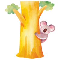 Cute koala peeking from behind a colorful tree trunk. png