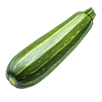 Fresh Zucchini for Healthy Cooking and Delicious Meals. Perfect for Grilling, Baking, and Stir-Frying. Ideal for Nutritious Recipes and Adding Flavor to Your Dishes. png