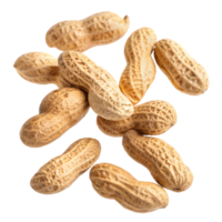 Delicious Raw Peanuts in Shell for Healthy Snacking and Cooking. Perfect for Nut Butters, Trail Mix, and Recipes. Enjoy a Nutrient-Rich Snack That Adds Flavor and Crunch to Your Meals png