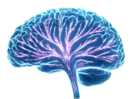 Intricate neural network representation highlighting brain activity and connections in vibrant colors. Brain hologram. png