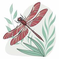 Intricate Red Dragonfly Illustration Detailed Wings, Botanical Design. vector