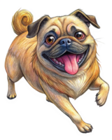 Pug Running and Having Fun in Transparent Background png